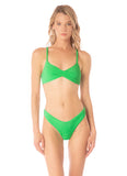 PARAKEET GREEN SPLENDOUR BOTTOM